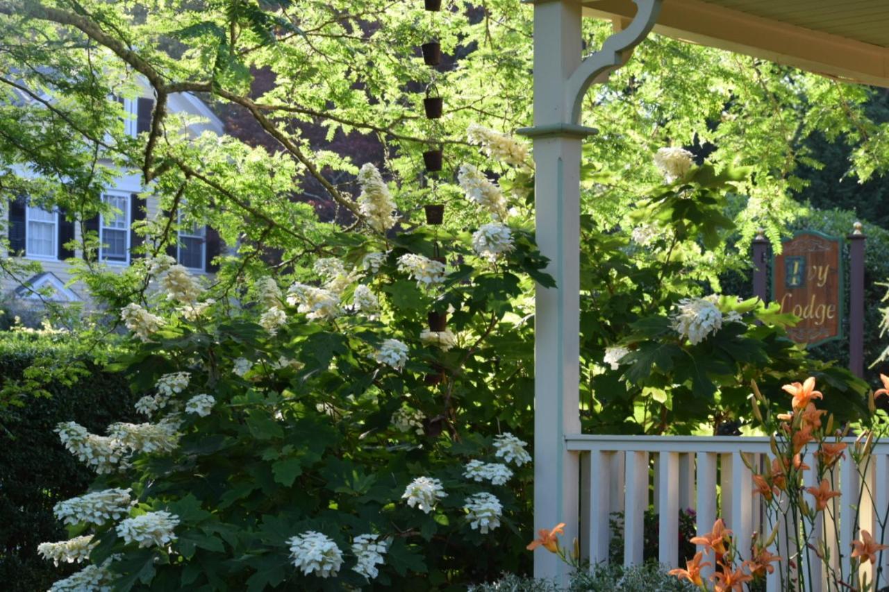 Ivy Lodge Newport Luaran gambar