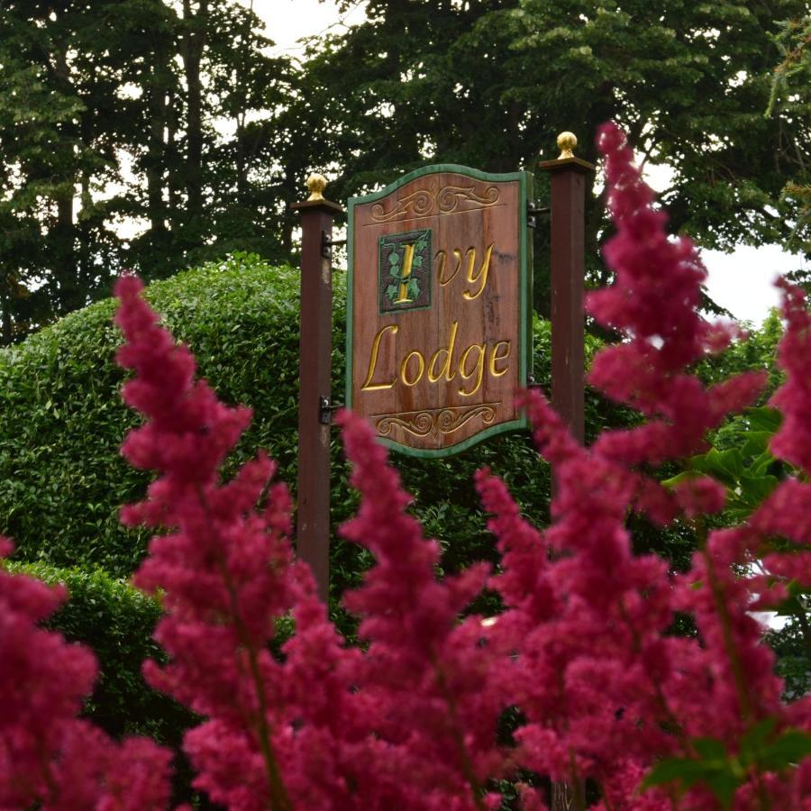 Ivy Lodge Newport Luaran gambar